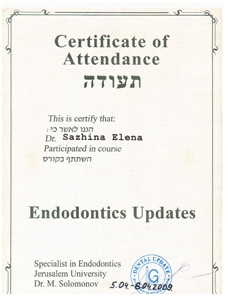 Сертификат обучения 17 Сажина Елена
