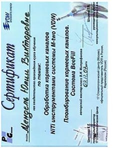 Сертификат обучения 1 Мендель Юлия Викторовна